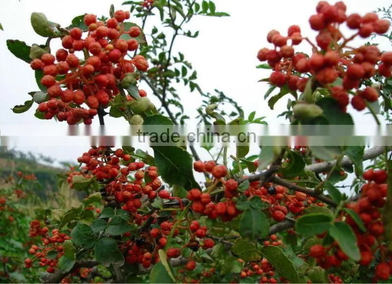 Spice pepper color sorting machinery! Imported CCD camera from Japan ! Vision's CCD Color Sorter machine!From anhui!