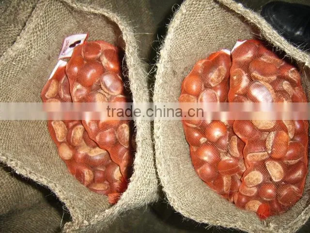 chinese chestnut/ fresh china chestnut