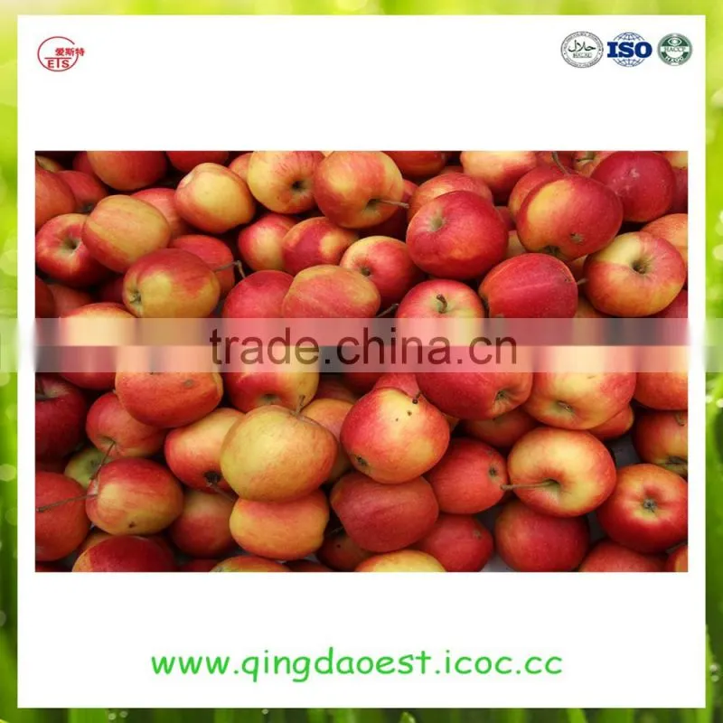 fresh red fuji apple