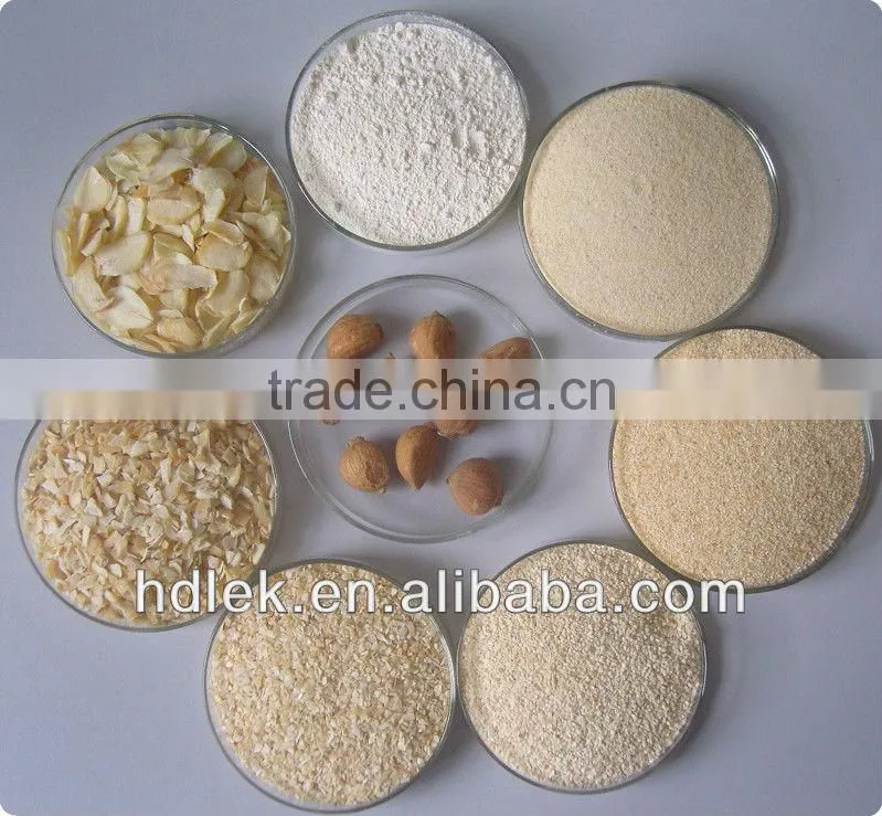 dried garlic powder