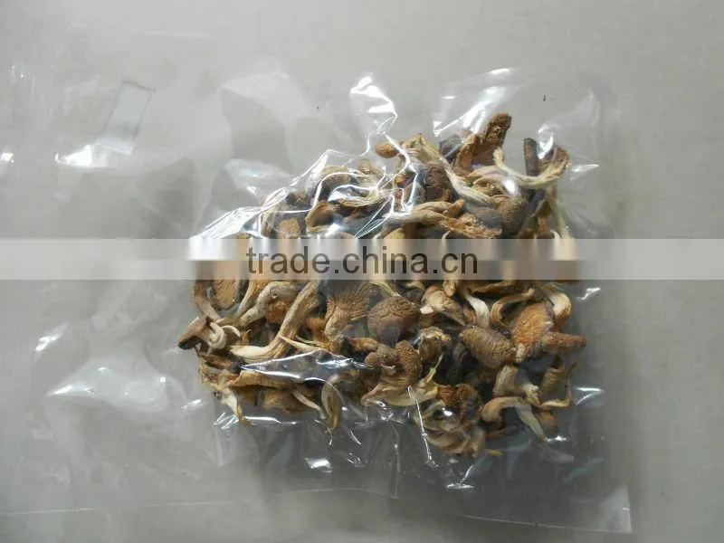 dried oyster mushroom for sale oyster mushrooms 1kg dry