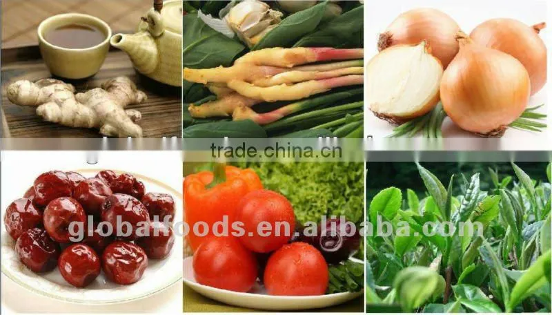 Garlic Powder Global Foods