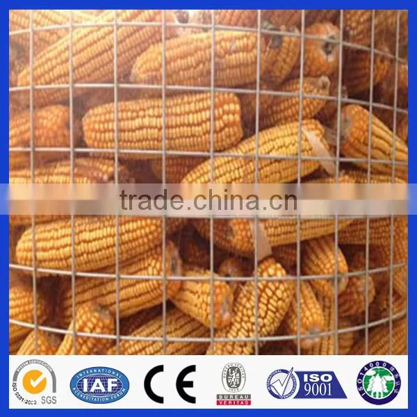 Galvanized Welded Wire Mesh From Anping Deming Factory