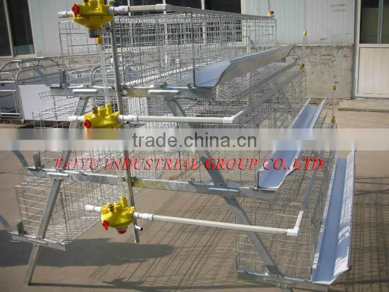 hot galvanized layer chicken cage