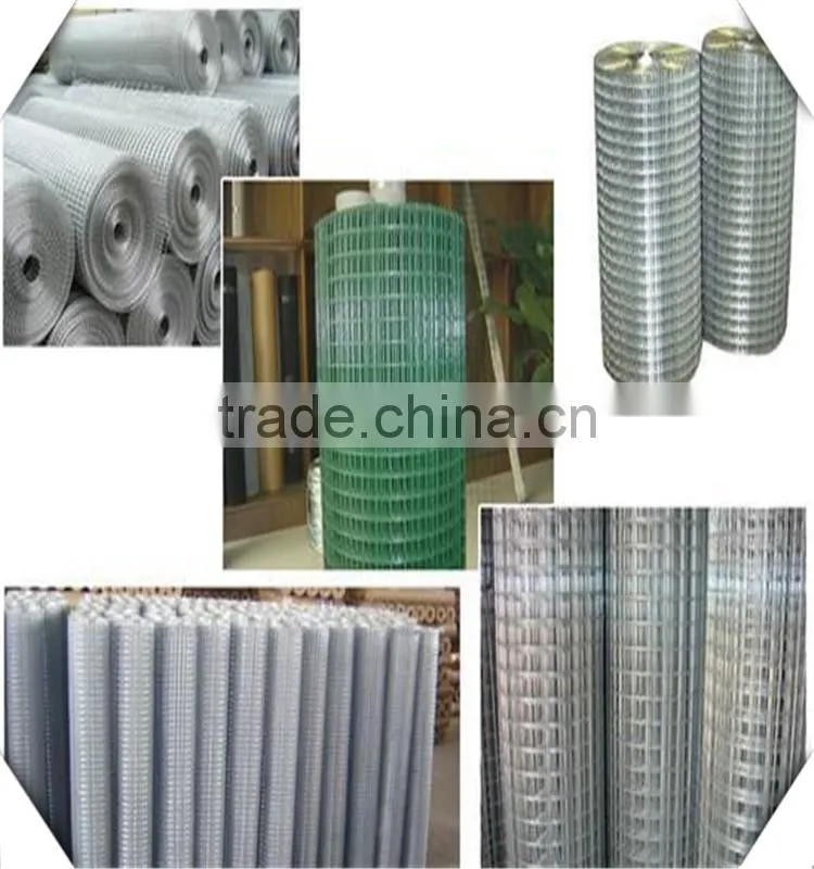 China Wholesale Professional Manufacture Galvanized Welded Wire Mesh/pvc coated/stainless steel welded Wire Mesh
