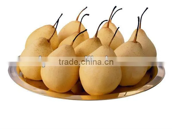 new design stainless steel sweet melon peeler
