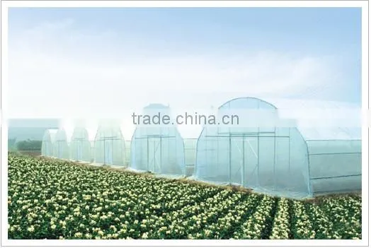 New style single span tunnel greenhouse for sale