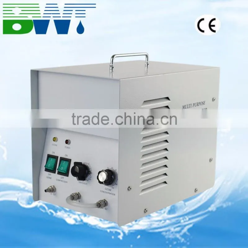 300 mg/h household ozone generator water purifier ozone purifier