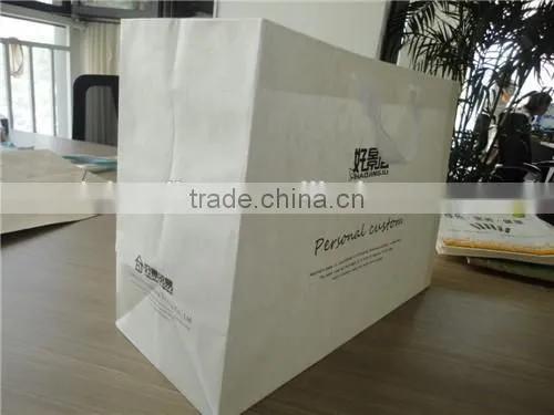 Customized New Fashion Protective Bag for Clothing