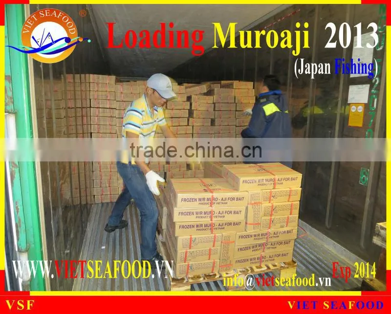 LOADING MUROAJI FOR TUNA BAIT