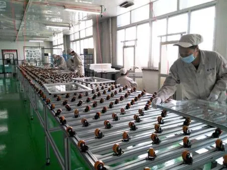 Rayma(sjz) International Trading Co.,ltd company overview - view 4