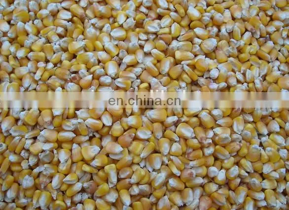 Hot Selling Wheat Winnower Machine/Corn Winnower Machine