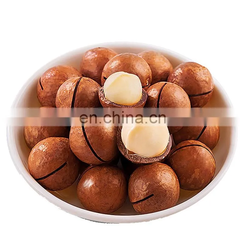 not roasted macadamia nuts seeds Factory Price Macadamia Nuts Wholesale Roasted Macadamia Nuts
