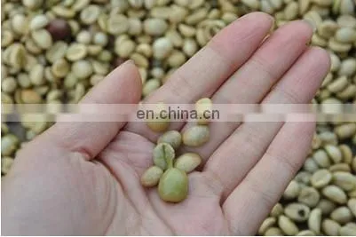 Fresh coffee peeling machine/fresh coffee bean peeler/fresh coffee bean pulper