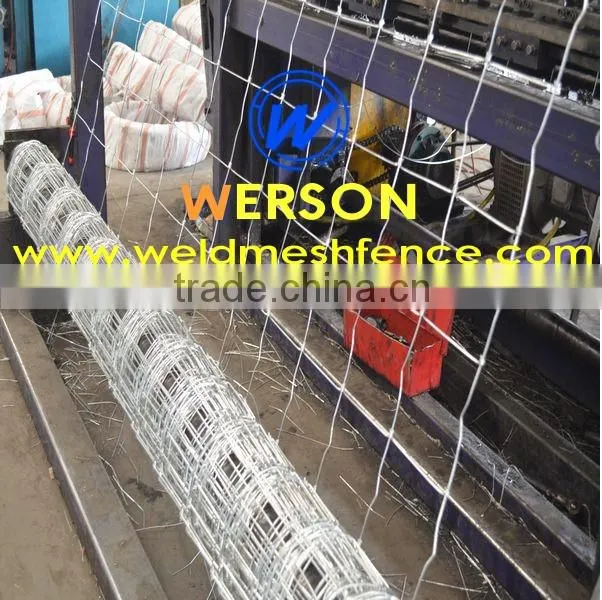 hot dipped galvanized Horse Fence,cattle fence| werson fence
