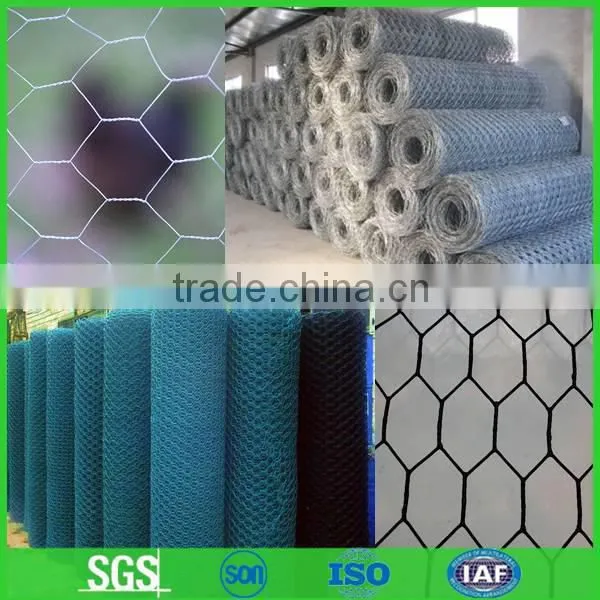 Choose us!!!!!! cheap chicken wire,chicken wire for sale (anping factory)