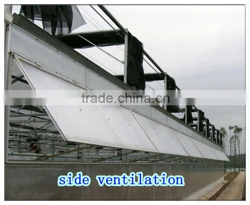 hot sale high quality galvanized Greenhouse Window