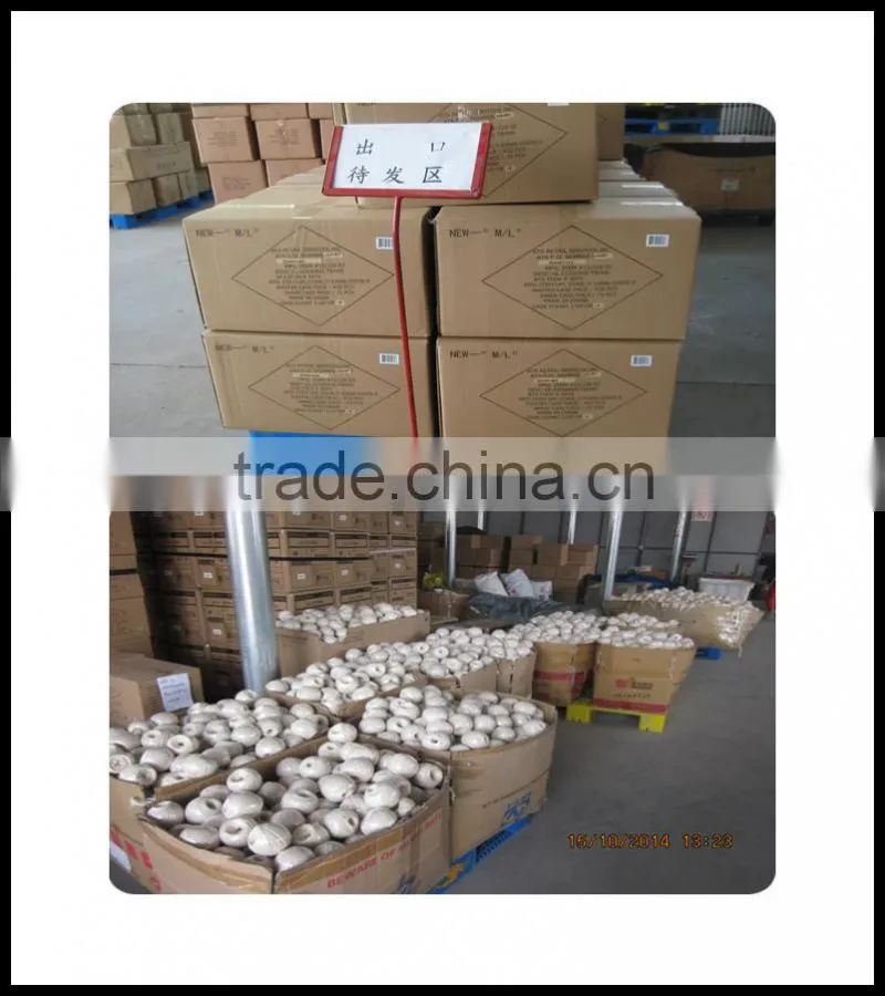 1-5 cm cotton webbing with high quality