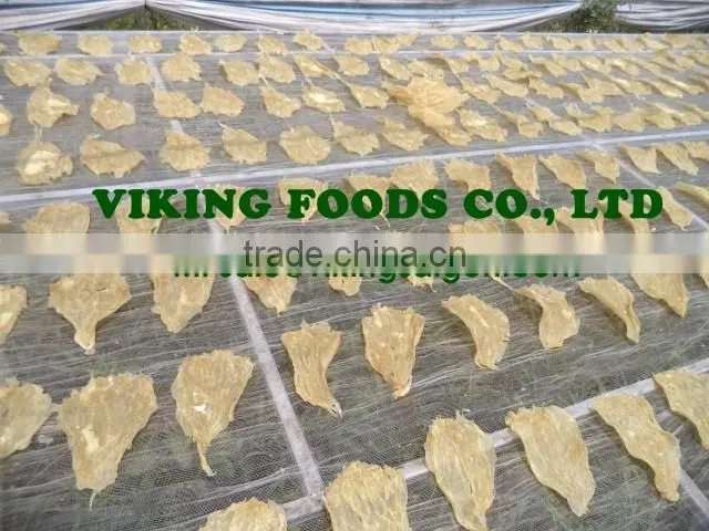 DRIED CAT FISH MAW - HOT SELLING