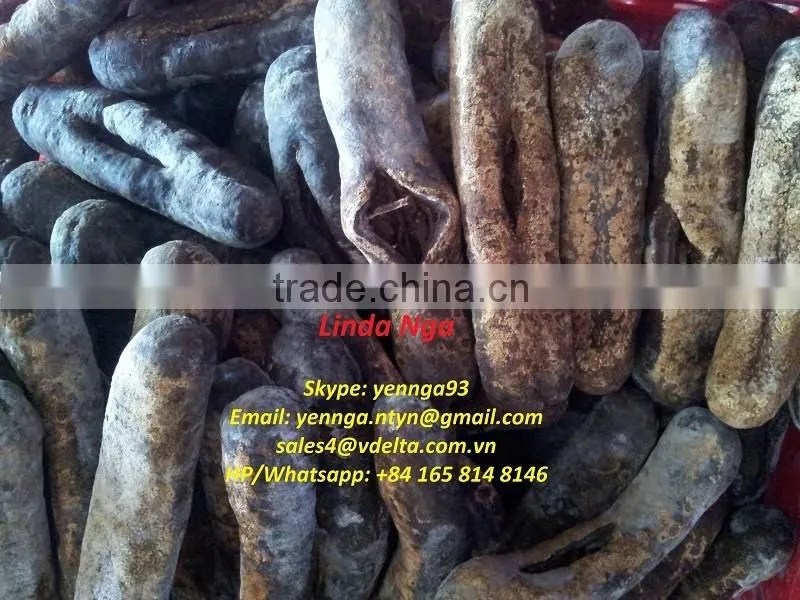 Dried Sea Cucumber ( Black/Yellow Sand Fish )
