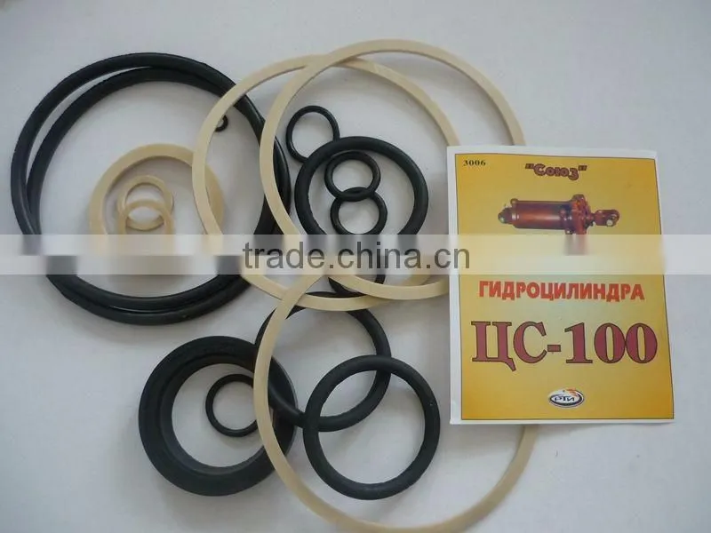 Belarus 3006 C-100 conventional cylinder repair kit