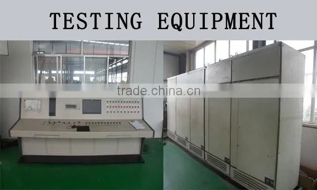 300kw natuarl gas generator set price