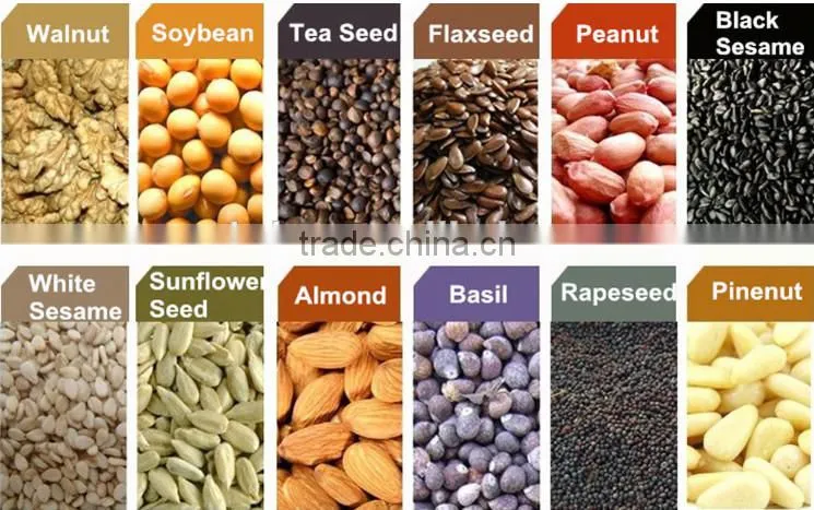 oil press machine with low price for pumpkin seed, cold press Moringa seed oil extracting machine