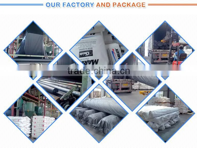 low price high strength steel plastic geogrid