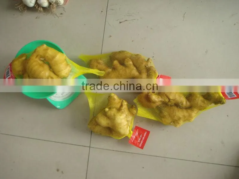 new crop fresh ginger for sale