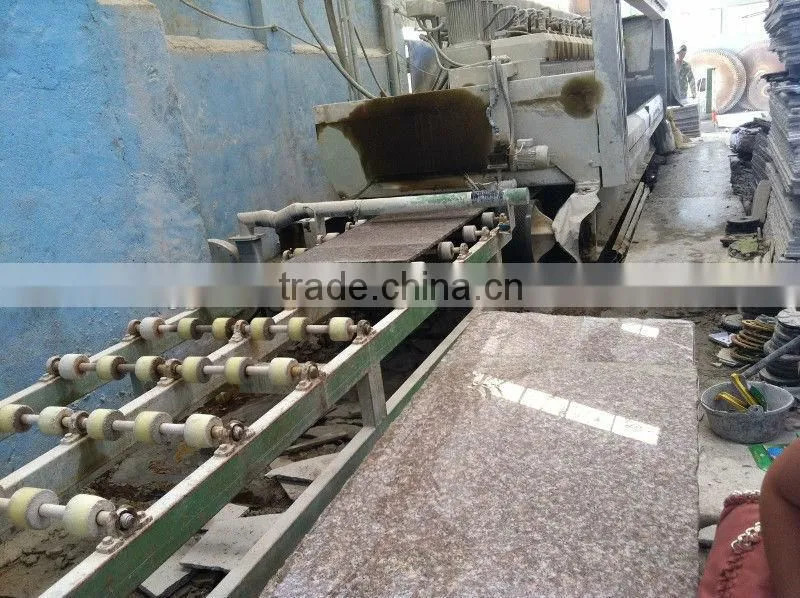 china granite G664