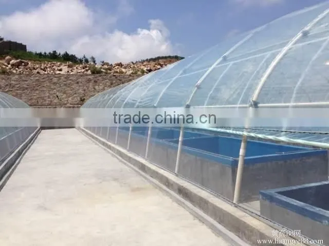 the most simple indoor fish farming for aquaponics