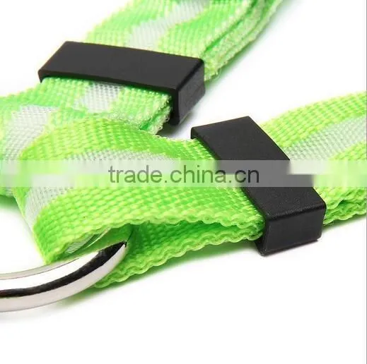 Nylon material reflective Dog Leashes