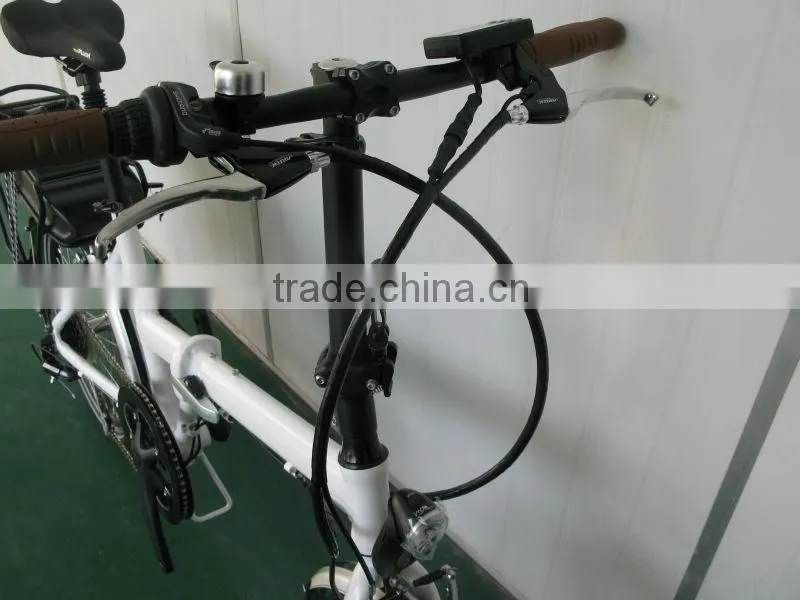 electric bicycle/pedelec lithium battery/e-bike