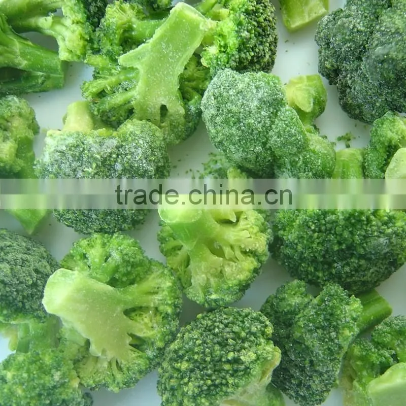 10kgs fresh frozen broccoli with favorable price