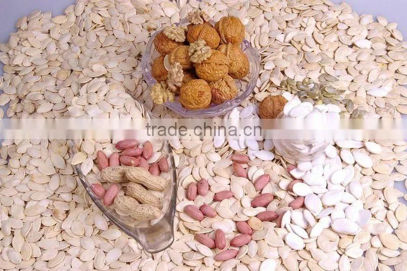 Snow white pumpkin seed.cushaw seed