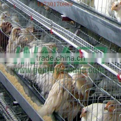Supply Hot Sale Cheap Innaer Cock Cage for Broiler