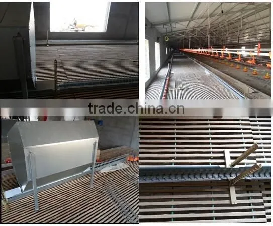 Breeder automatic feeding system