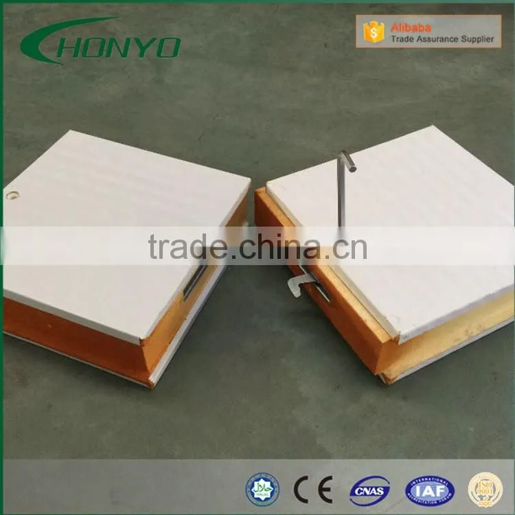 Large Capacity The Pu Panels Modular Walk In Air Blast Fast Deep Freezer Room For Meat Fish