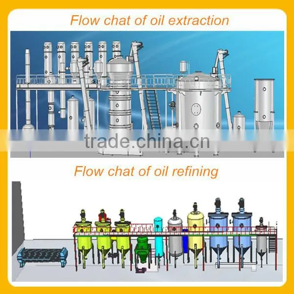 rice bran oil production machine with high Performance and Energy Saving rice bran oil production machine,rice bran plant