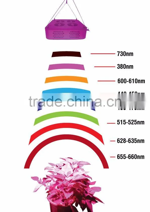 Newest led grow light China factory VANQLED 300w cob grow full spectrum
