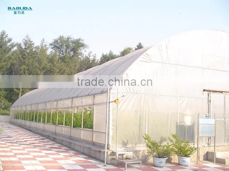 Low cost agriculture polycarbonate tunnel greenhouse
