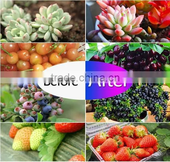 High quality 10W led clip grow light hydroponict are hot-selling for factory buttom price in 2017