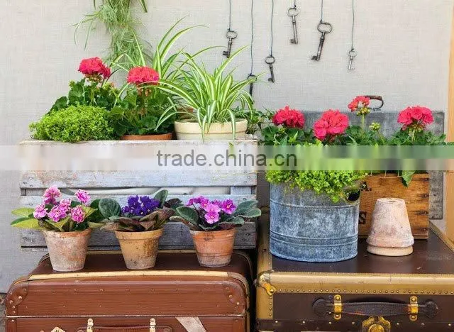 Vietnam Large Outdoor Rustic designer pottery