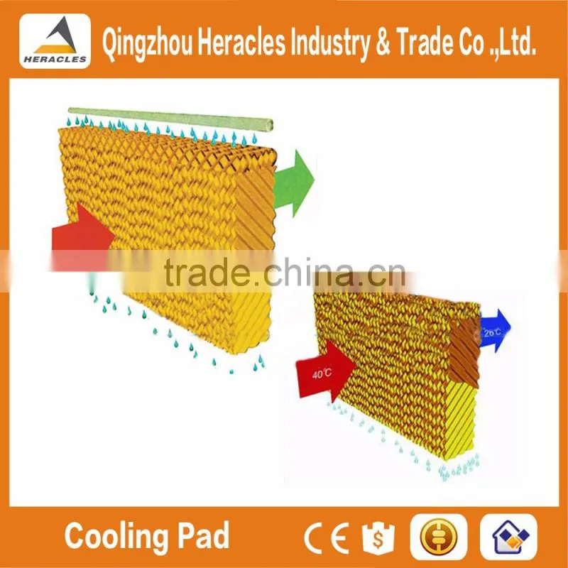Alibaba China trade assurance pad and fan greenhouse cooling systems for poultry farm and greenhouse