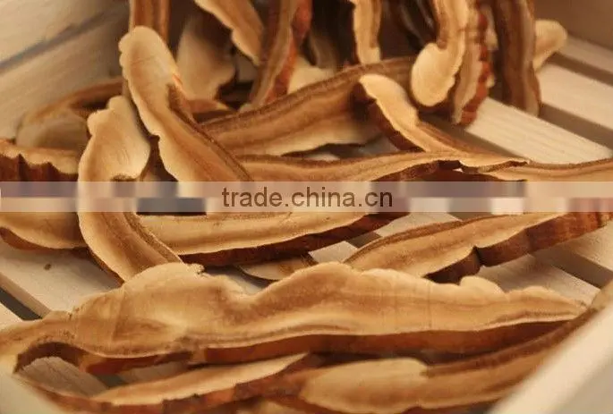 Reishi Slice,Ganoderma lucidum