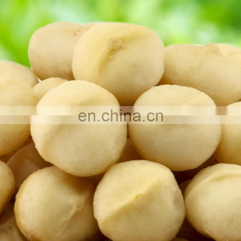 not roasted macadamia nuts seeds Factory Price Macadamia Nuts Wholesale Roasted Macadamia Nuts
