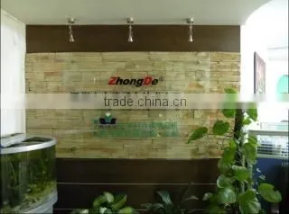 Shenzhen Zhongde Audio-Technical Co., Ltd. company overview - view 1