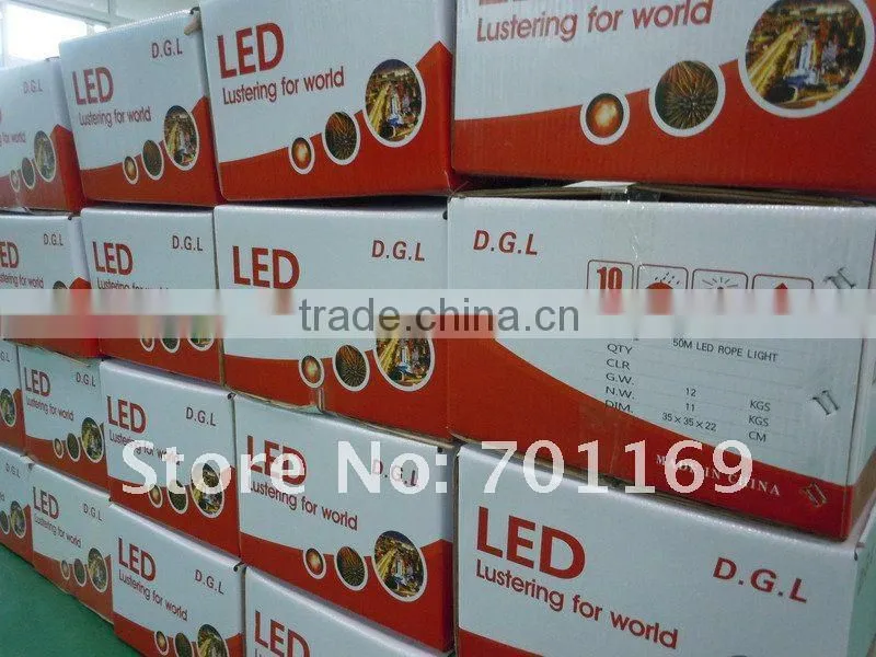 Round/flat 12V 110 220V dimmable decoration smd color changing led rope light with UL