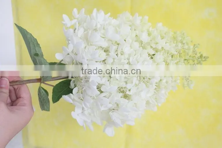 Elegant in smell hot-sale hydrangea flower for sale