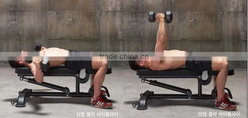 Solid Commercial Grade Bench/ Gym Equipment/ Rack